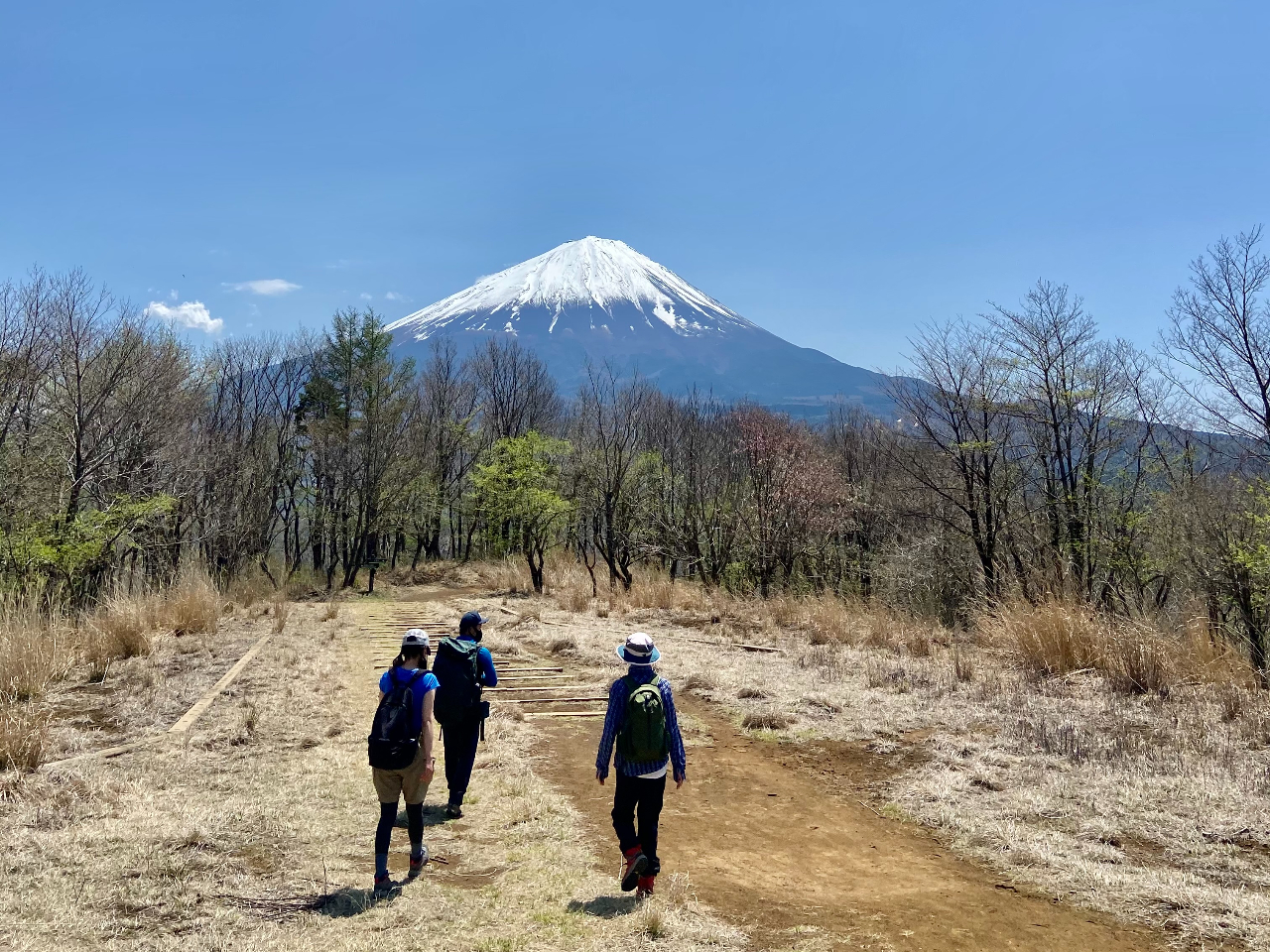 R[X͕xmR𒭂߂R[XSł