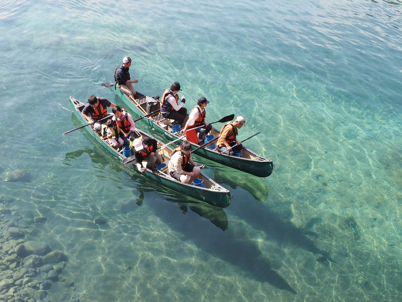 ネイチャークルージング