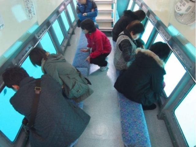 海の中の様子を楽しもう♪