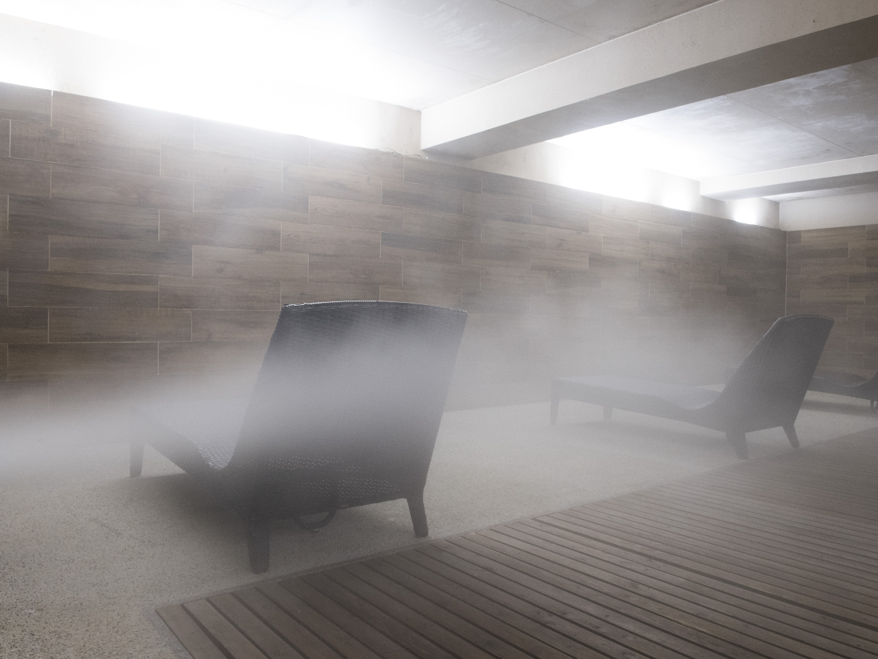 ���h���M�C�������C���[�W�i���ۂ́A�^���������Ȃ��Ȃ邭�炢�̐^�������~�X�g���[�����܂��j�B