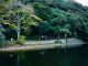 三方五湖サイクリング