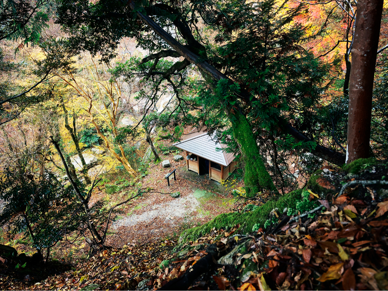 ��������̋߂��ɂ���x�e�X�|�b�g�̂����܉�