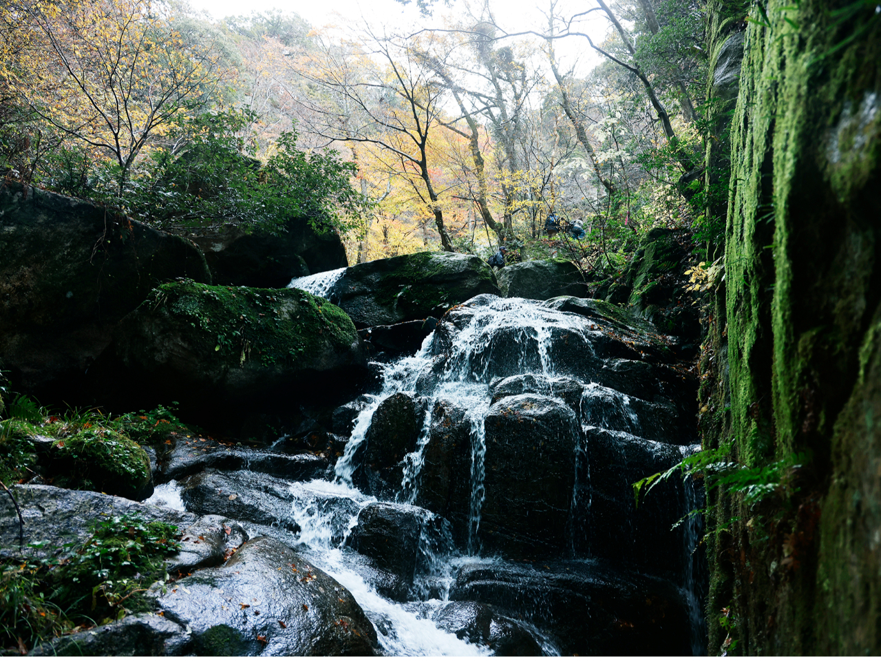 �����̕��i�B���̗���ɉ����Đi�݂܂��B