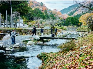 渓流釣りをしている様子