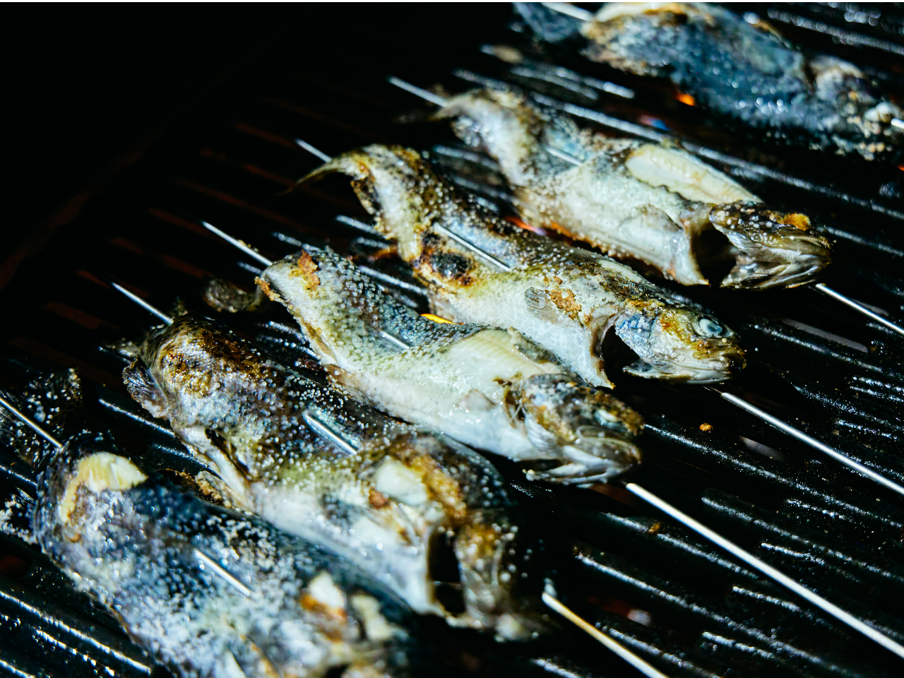 �k���ނ�Œނ�������BBQ�ł��������܂��B