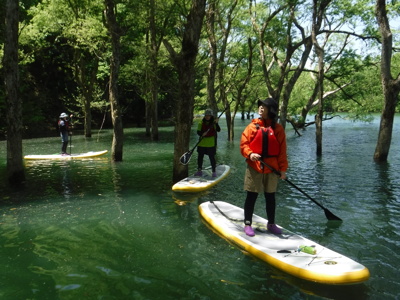 ���̃}���O���[�u�I�����ł��������X�Ƃ������v��SUP�c�A�[�I