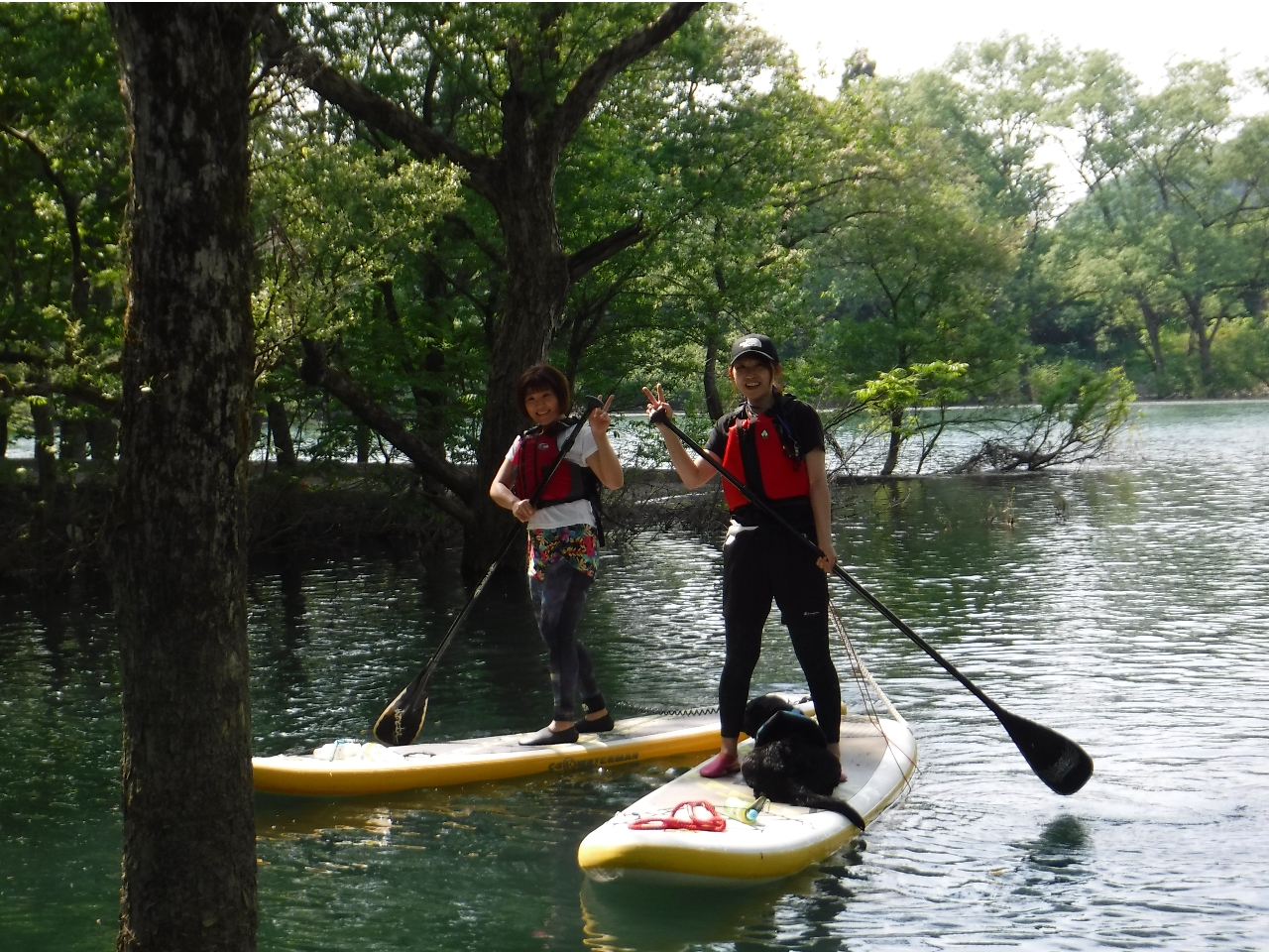 ���������Ƃ��ꏏ�Ɋy���߂�I���������p�̃��C�t�W���P�b�g�ƃ��[�h��Y�ꂸ�ɂ��������������I