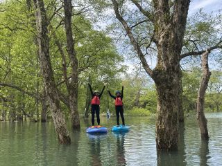 水没林の中をSUP で散策できるのは春の満水期のみ!まさに期間限定の幻の光景といっても過言ではありません!