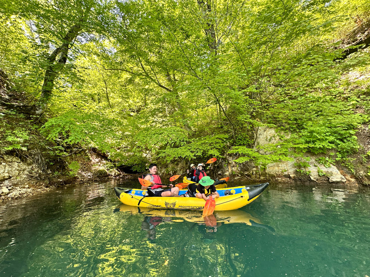 SNS�f���|�C���g����R�I