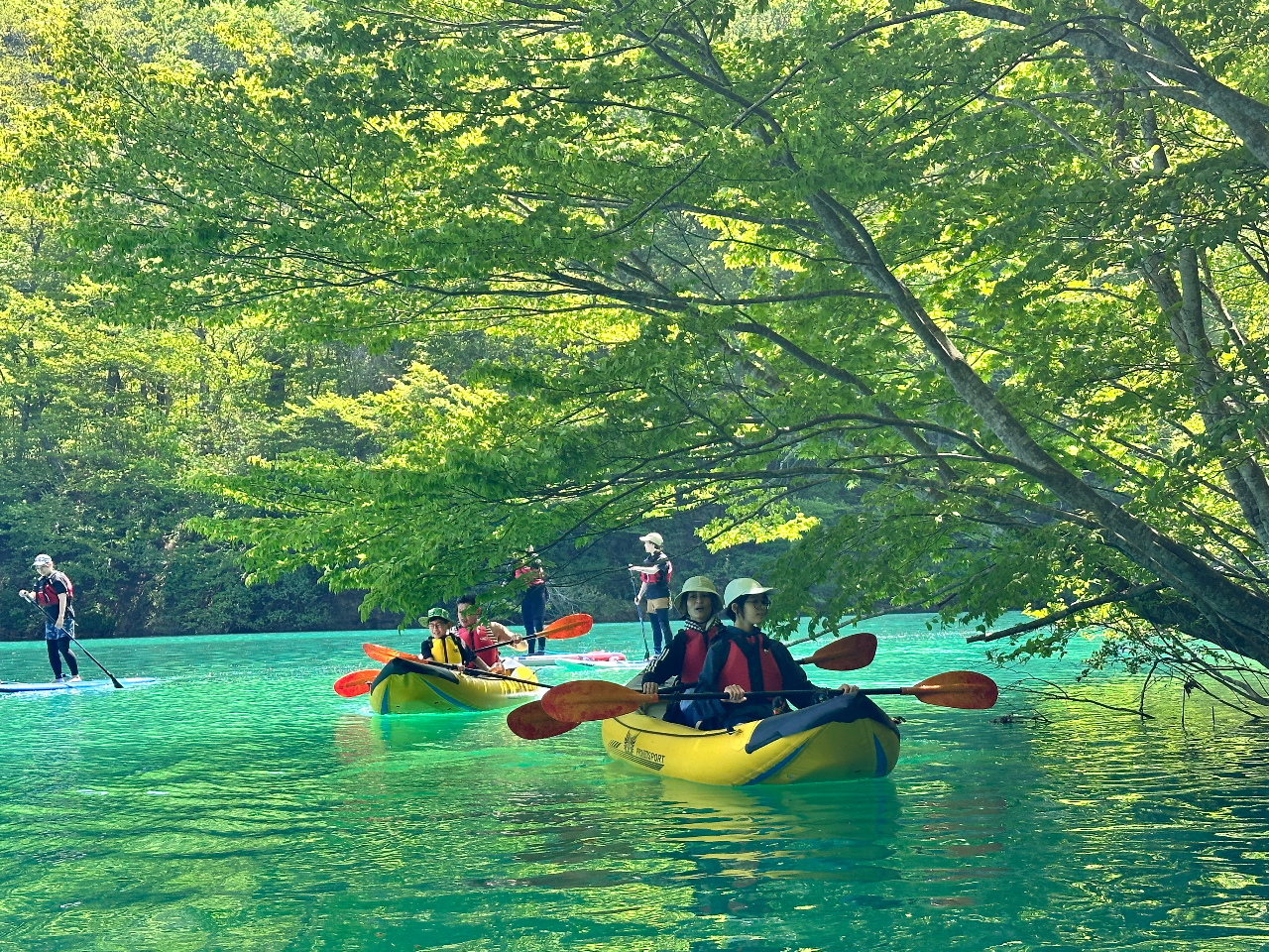 �`�J�������킹�Ĕ鋫���`���I