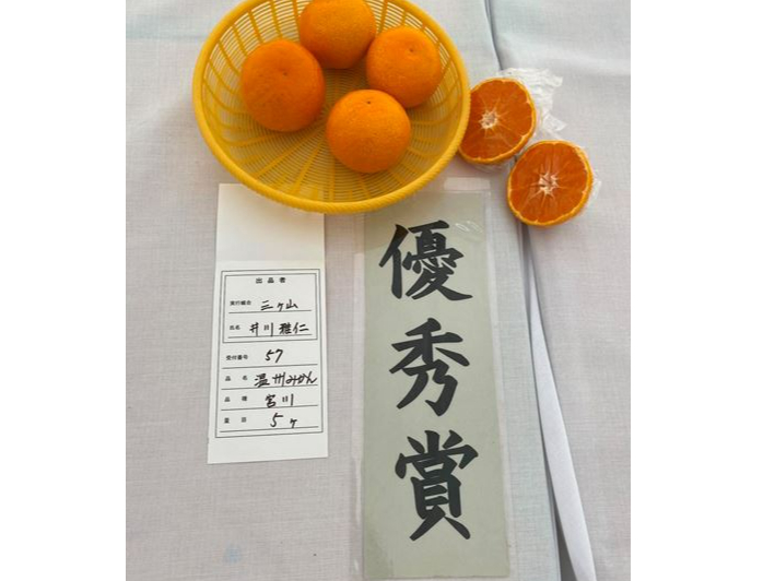 2024N i]ł͗DG܂܂܂I