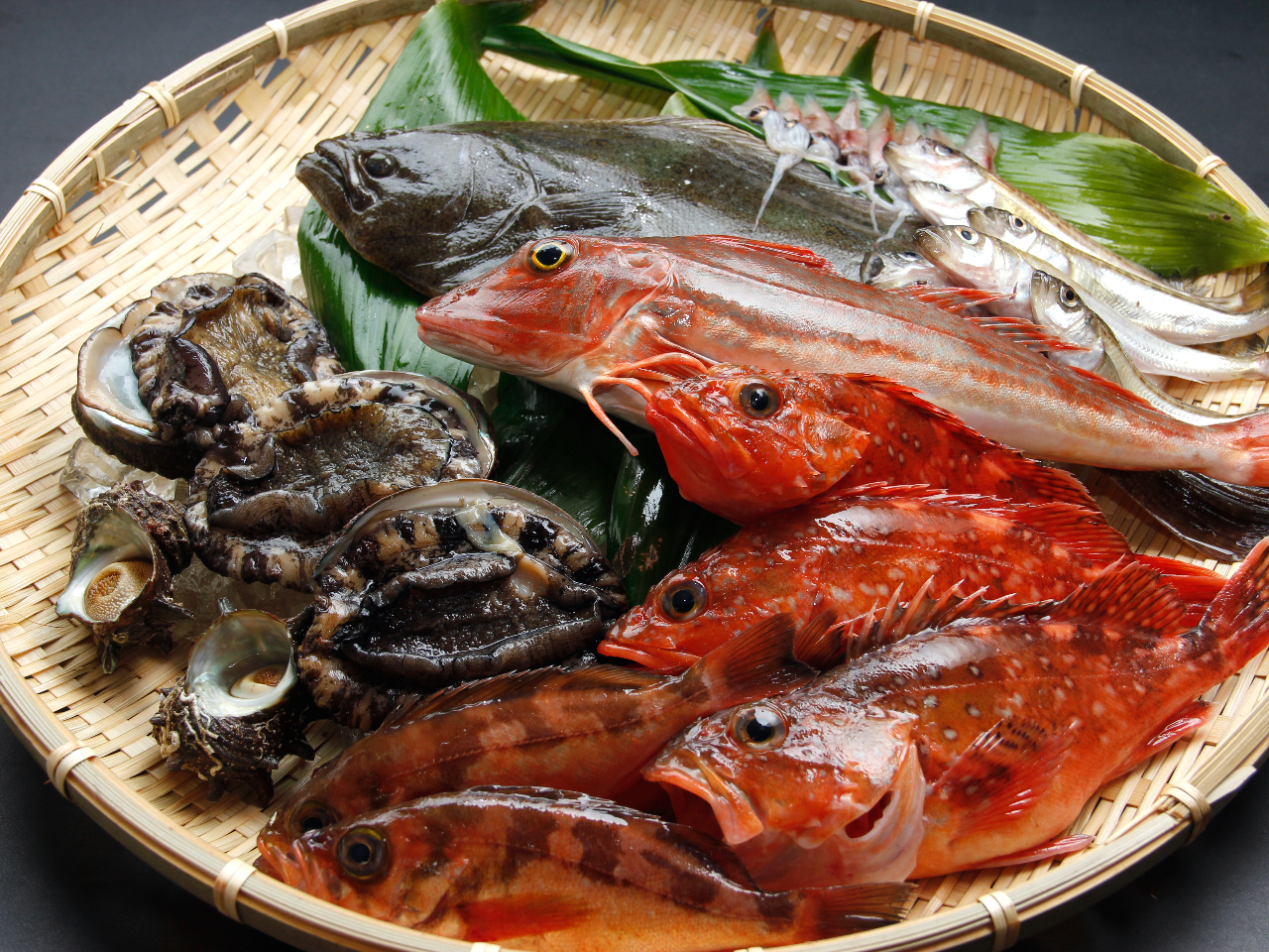 直前割】豪華刺身盛り・浜坂港直送旬魚の造り盛り合わせ☆海の幸プラン