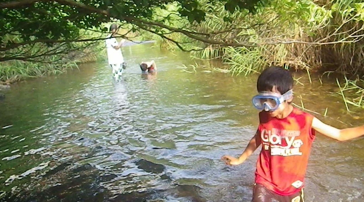 獲った魚をその場で食べるbbqランチ付き 四万十川で川遊び体験プラン 魚つり 魚とり 川遊び民宿かわせみ じゃらん遊び体験 獲った魚をその場で食べるbbqランチ付き 四万十川で川遊び体験プラン 魚つり 魚とり 川遊び民宿かわせみ じゃらん遊び体験
