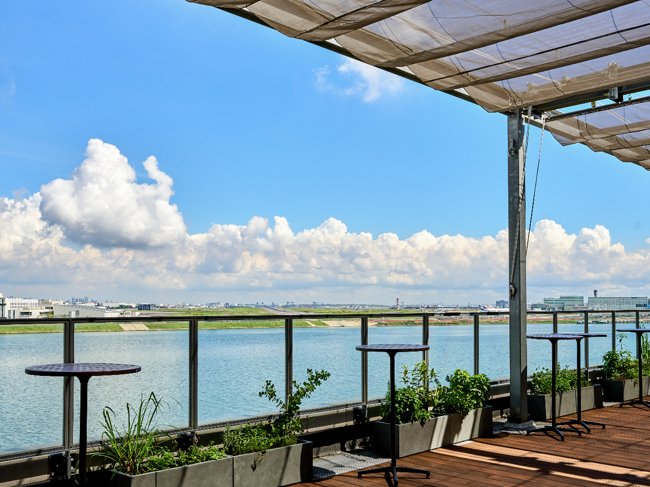 �e���X���瑽����A�H�c��`�����H�܂Œ��߂邱�Ƃ��ł��܂���@���ʐ^�̓C���[�W�ł�