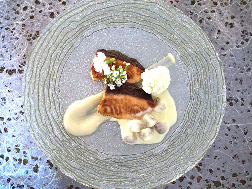 [2026/1/28�`2/27]���̃��j�G���@�M�q�Ӟ��\�[�X�@���ʐ^�̓C���[�W�ł�