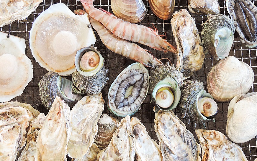 【コース③│2,500円】【福吉漁港の黄色の看板が目印】≪平日10:00~16:...