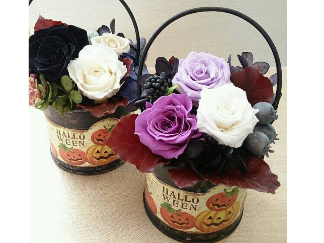 10͑lC̃nEBIׂ܂B̔wʂ̓VvȂ̂ŌςĈN܂B萔BԂ͂DȐFIŁBmg[AeB[NnlC