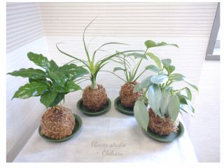 皆様初心者さま作品