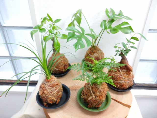 ご家族5人でお作りくださいました!