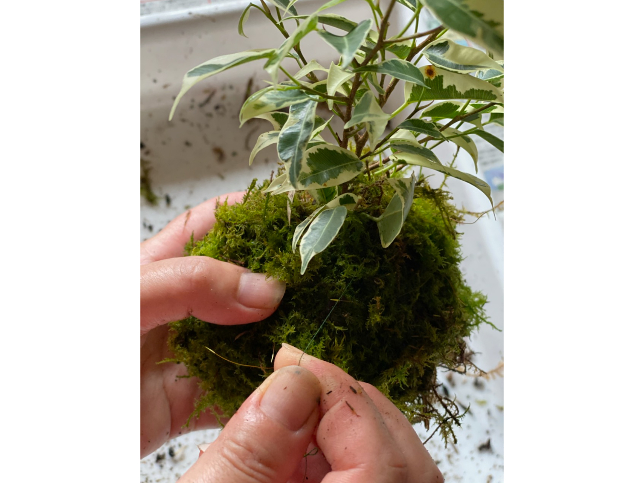 どなたでも簡単に作ることができます。お手伝いいたしますので、安心して参加いただけます。