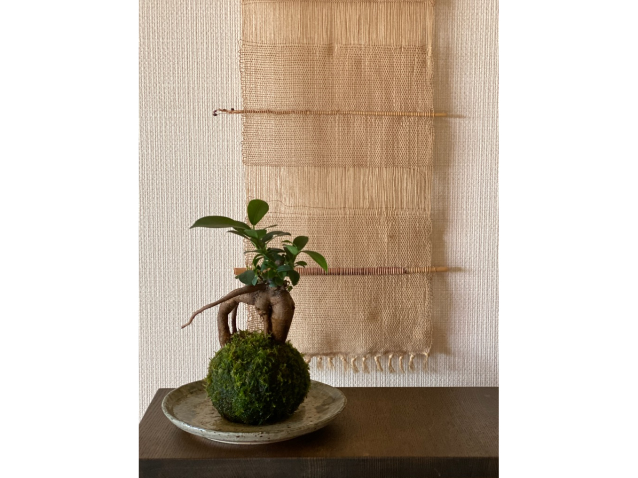 AɂĎς܂BQA̒炨DȐAIׂ܂B