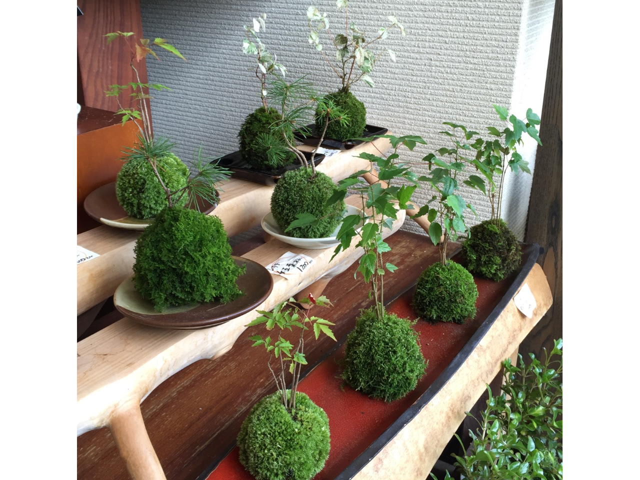 �݂��݂������ۂɖ�����܂��B���ׂď����Ă������I