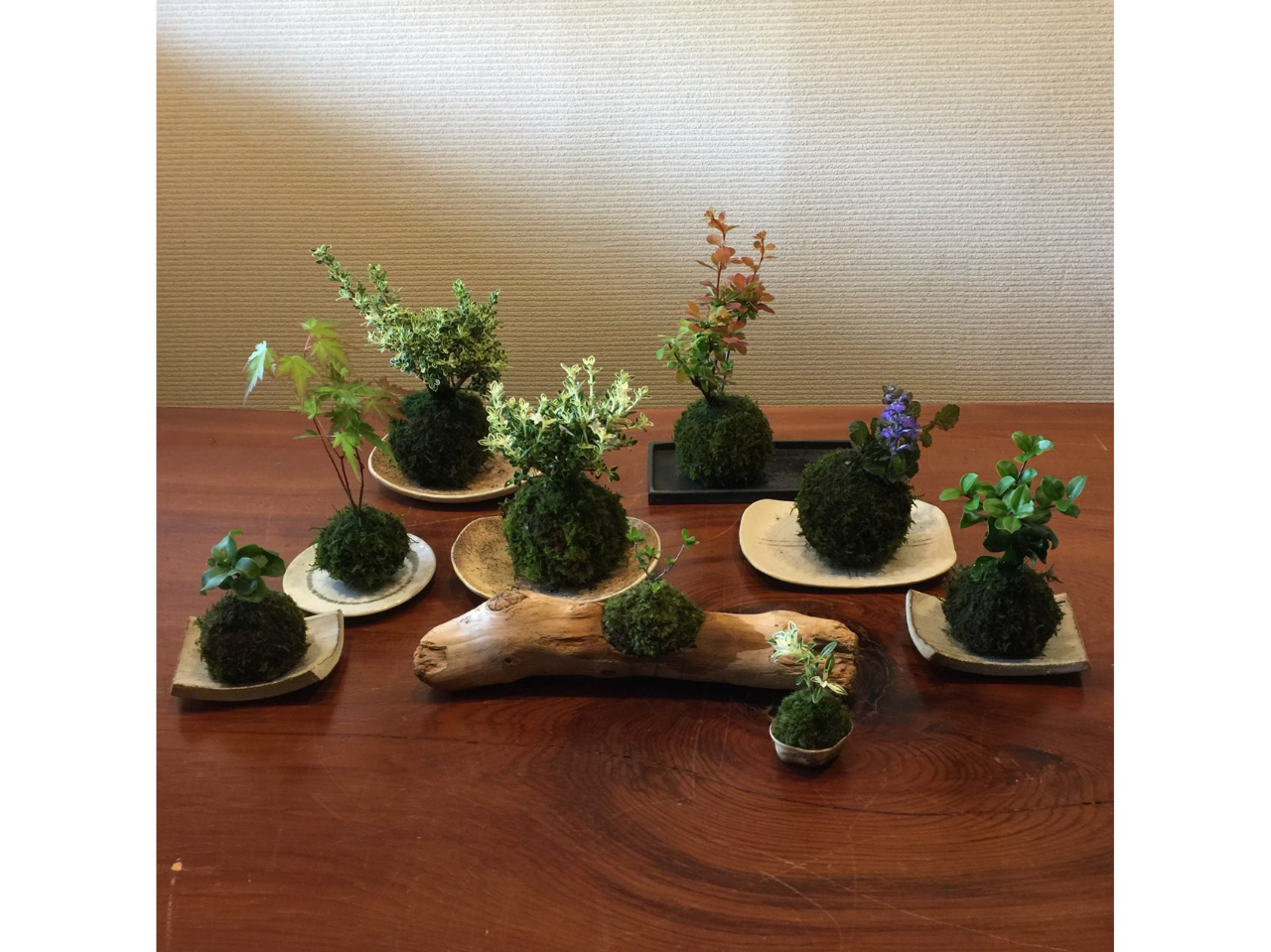 �ЂƂ��ƁA��A�O�Ɨ~�����Ȃ�܂��B���s�[�^�[�̕���������������Ⴂ�܂��B