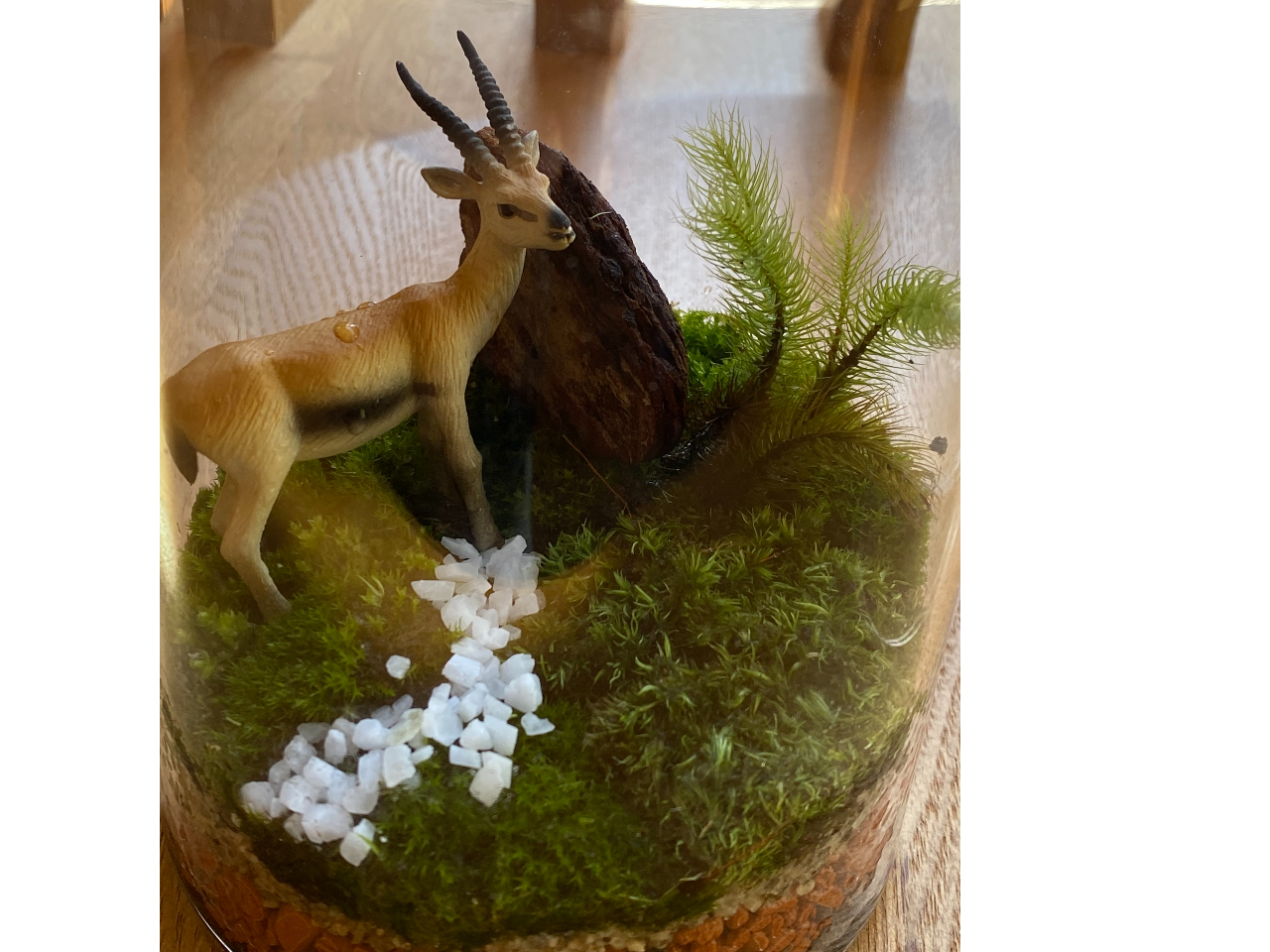 フィギュアの持ち込みもOKです。