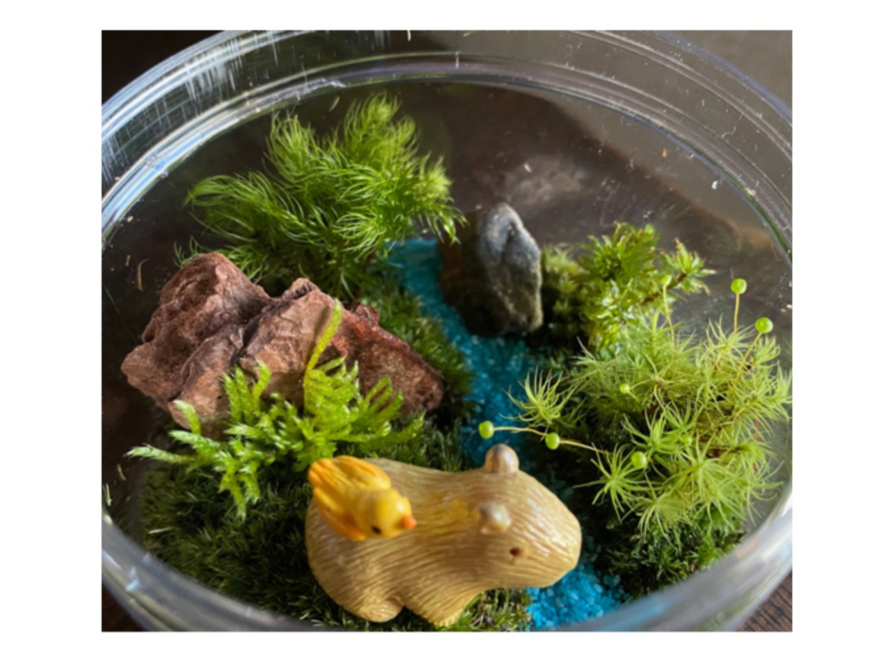 フィギュアによって、雰囲気が変わります。