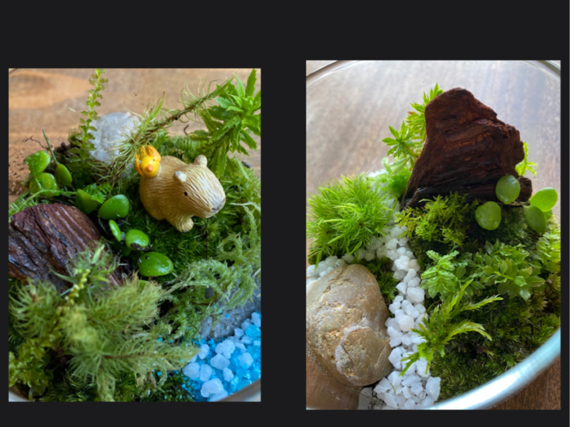 �����Ȃǂ̃t�B�M���A�͕ʔ���ł��p�ӂ��Ă���܂��B�i��300�^�j ���C�ɓ���̃t�B�M���A�̎������݂����v�ł��B