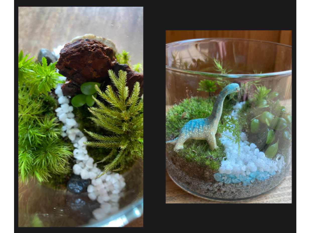 �@�@�t�B�M���A�ɂ���āA���͋C���ς��܂��B