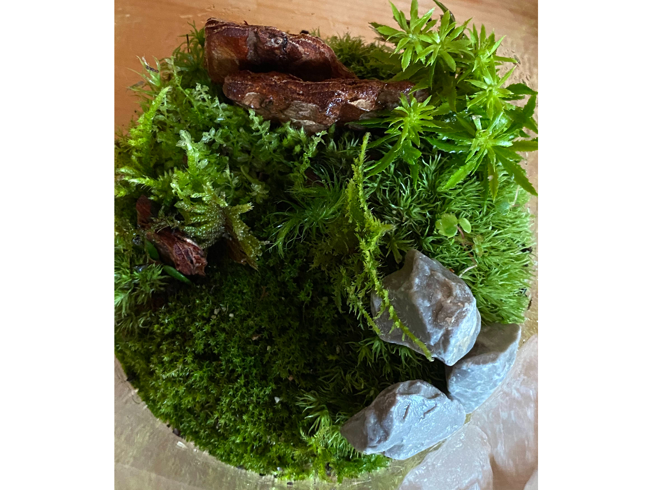 �@�@�@�@�@�@�@���˓����ɓ�����Ȃ��Ƃ���ɏ���܂��B�@�@�@�@�@�@�@�@�@�@�@�@�@�@�@�@�@�@�@�@�@�A�t�^�[�P�A�̕��@�����J�ɐ����������܂��B