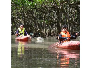 直前予約可能 マングローブカヤック体験 初心者ok 2名様 ファミリー 女性同士 カップルに人気 マングローブ茶屋 じゃらん遊び体験 直前予約可能 マングローブカヤック体験 初心者ok 2名様 ファミリー 女性同士 カップルに人気 マングローブ茶屋 じゃらん遊び体験