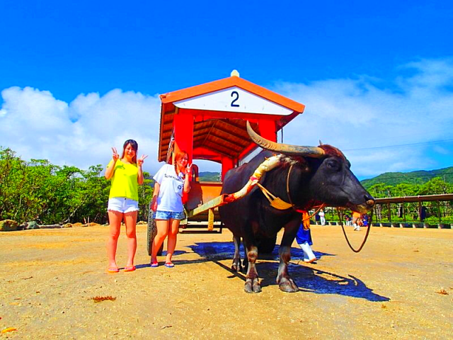 �R�z���ό�