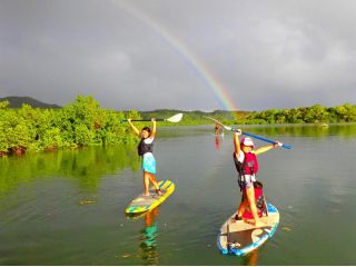 西表島マングローブSUPツアー