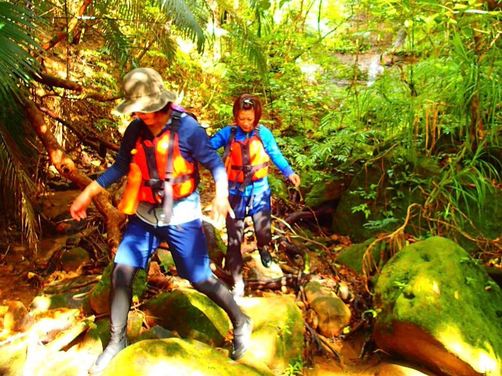 �W�����O���g���b�L���O�E���\���g���b�L���O�c�A�[