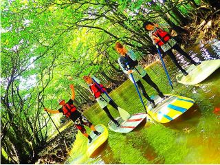 【西表島】地域共通クーポンOK!a12.マングローブSUP・滝&パナリ島・ヨットクルーズ+シュノーケリング【写真データ無料】
