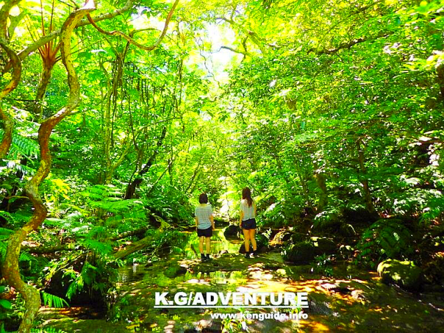 �厩�R�֕����čs�����`���\���g���b�L���O�c�A�[