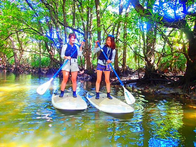 �Y��ȃ}���O���[�u�̐X��SUP(�T�b�v)�ő����ł݂悤�`���\��SUP�c�A�[