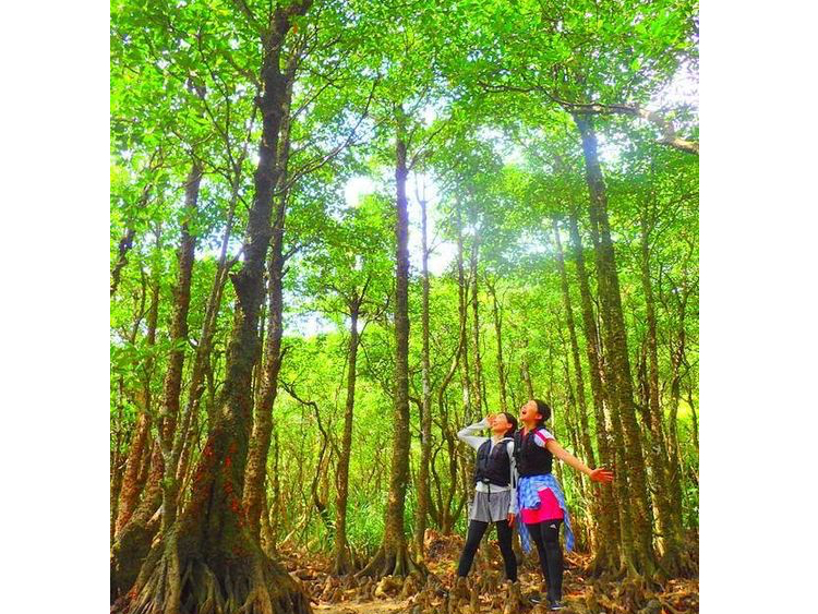 心地よい風を感じよう〜西表島トレッキングツアー