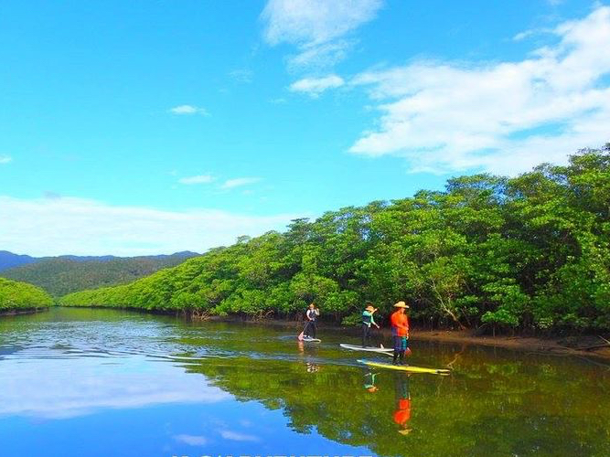 ��̉��Ń}���O���[�uSUP�̌��E���\��SUP�c�A�[