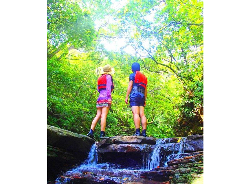 �����b�N�X�ł��闷�����悤�`���\���g���b�L���O�c�A�[