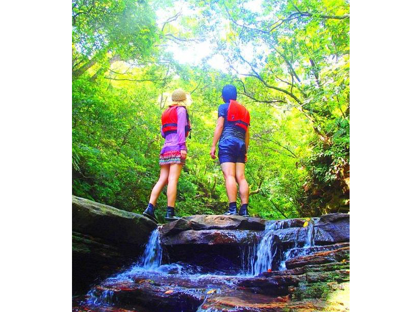 �厩�R�̒��Ń����b�N�X�`���\���g���b�L���O�c�A�[