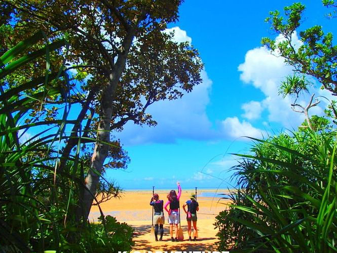 �썑�̐�������悤�`���\���g���b�L���O�c�A�[