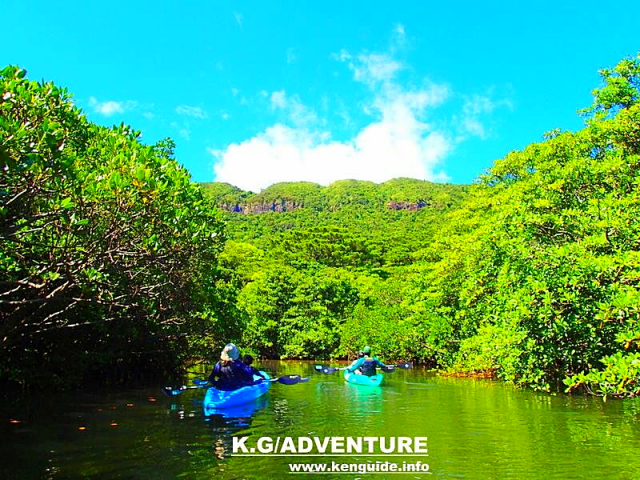 西表島カヌーツアー