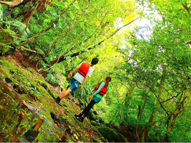 西表島トレッキングツアー