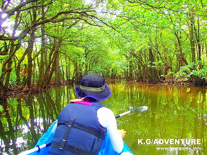 西表島カヌーツアー