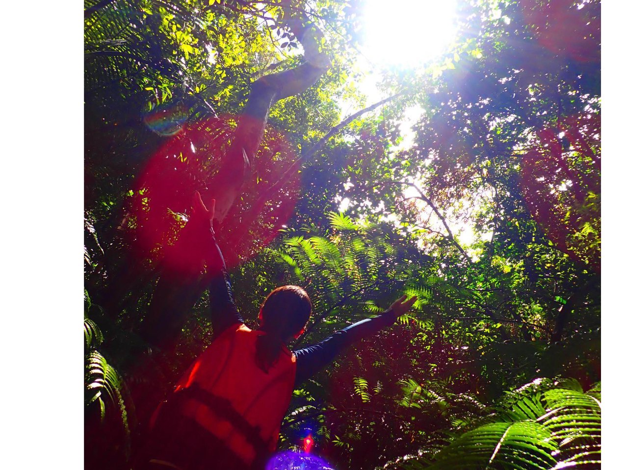 西表島トレッキングツアー