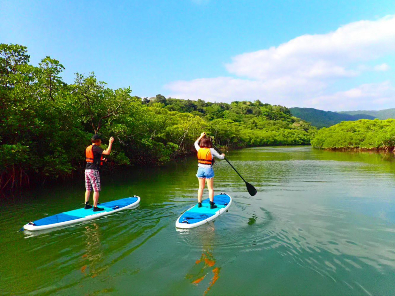 マングローブSUP(サップ)ジャンングルトレッキング秘境パワースポット巡り・西表島トレッキングツアー
