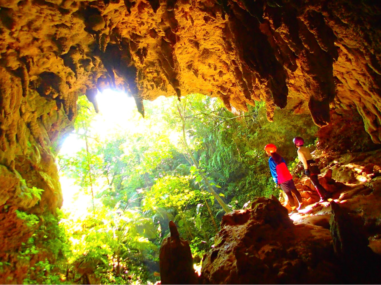 西表島マングローブSUP(サップ) &ジャングルトレッキング秘境のパワースポット巡り&ケイビング(鍾乳洞探検)